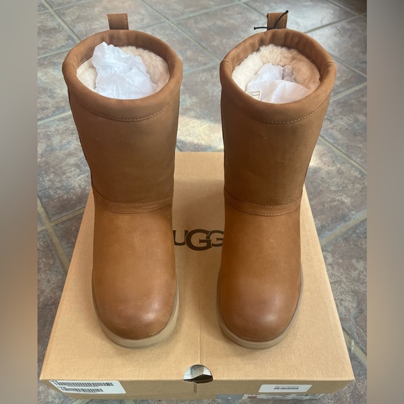 Ugg Women's Chestnut Waterproof Leather Boot Vibrant/Arctic Grip